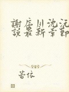 谢序川沈沅珠小说最新章节免费阅读