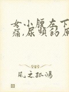 女小腹左下侧疼痛,尿频的原因