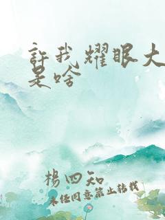 许我耀眼大结局是啥