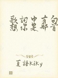 歌词中有句想你想你是哪首歌