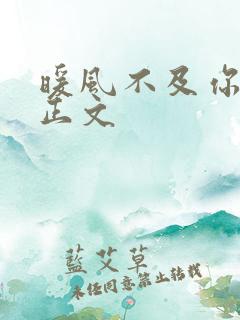 暖风不及你情深正文