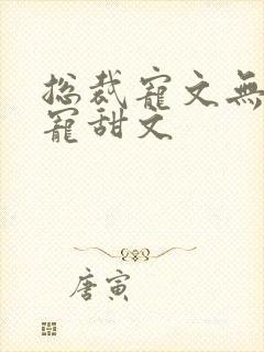 总裁宠文无虐超宠甜文