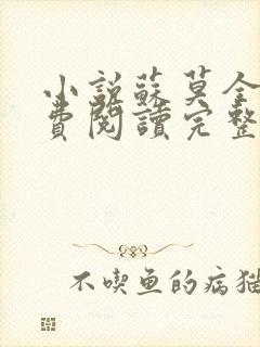 小说苏莫全文免费阅读完整版