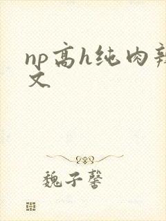 np高h纯肉辣文