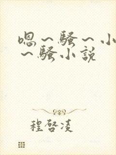 嗯～骚～小淫妇～骚小说