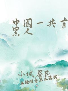 中国一共有多少黑人