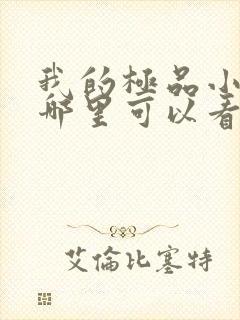 我的极品小姨在哪里可以看