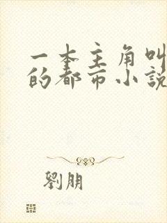 一本主角叫叶欢的都市小说