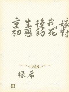 重生后我嫁给了初恋的死对头在线阅读