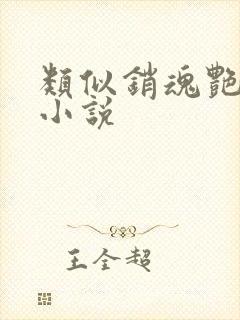 类似销魂艳婢的小说