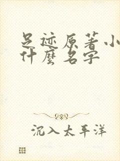 足迹原著小说叫什么名字