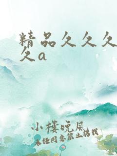精品久久久久久久a