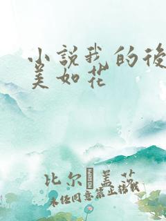 小说我的后妈貌美如花
