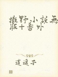 撒野小说无删减版+番外