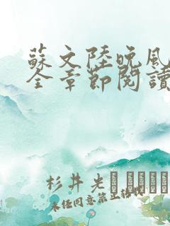 苏文陆晚风小说全章节阅读