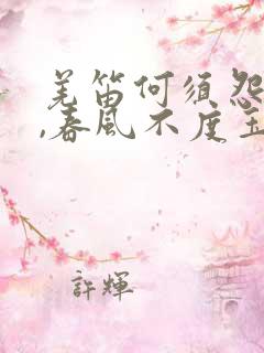 羌笛何须怨杨柳,春风不度玉门关打一生肖