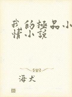 我的极品小姨言情小说