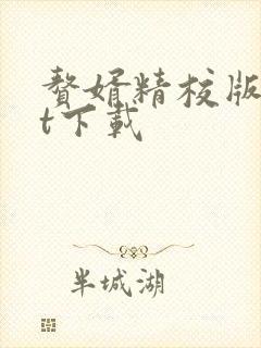 赘婿精校版txt下载