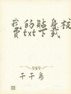 我的贴身校花免费txt下载