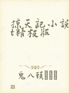 掠天记小说txt精校版