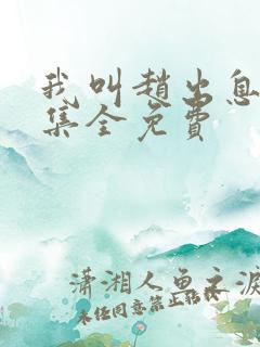 我叫赵出息40集全免费