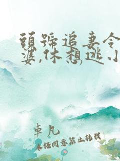 头号追妻令:老婆,休想逃小说