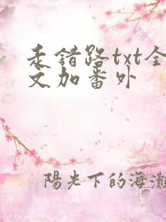 走错路txt全文加番外