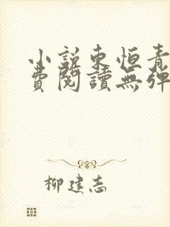 小说东恒青云免费阅读无弹窗