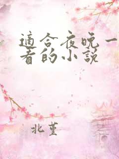 适合夜晚一个人看的小说