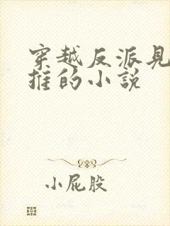 穿越反派见女就推的小说