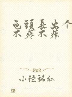 龟头长出个肉粒不疼不痒