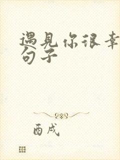 遇见你很幸福的句子