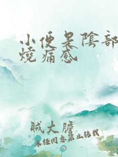 小便是阴部有灼烧痛感