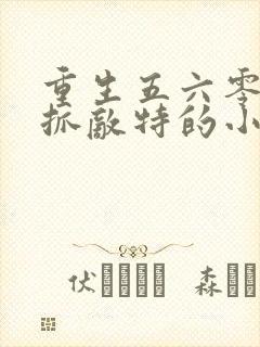 重生五六零年代抓敌特的小说