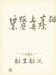 地板上有猫尿味怎么去除