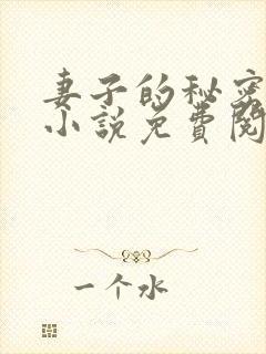 妻子的秘密周芸小说免费阅读