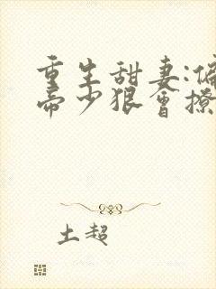 重生甜妻:偏执帝少狠会撩