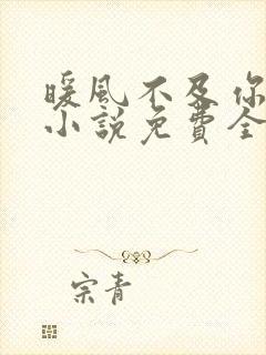 暖风不及你情深小说免费全文阅读