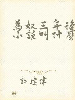 为奴三年后原著小说叫什么