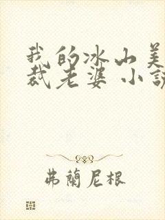 我的冰山美女总裁老婆 小说