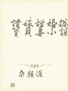 错嫁甜婚总裁的宝贝妻小说完整