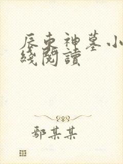 辰东神墓小说在线阅读