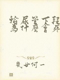 输尿管下段结石为什么会疼痛