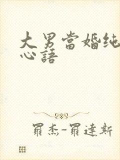 大男当婚纯音乐心语