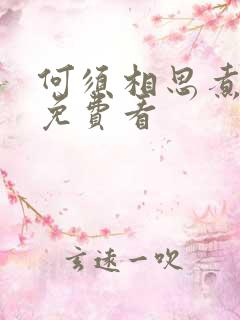 何须相思煮余年免费看