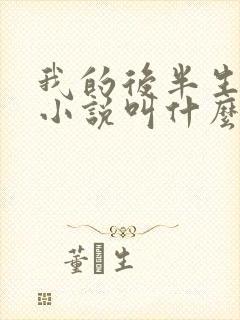 我的后半生原著小说叫什么