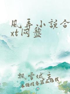 风弄小说合集txt网盘