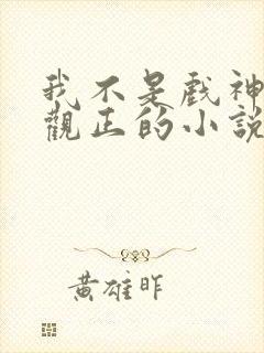 我不是戏神是三观正的小说吗