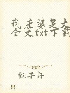 我老婆是大明星全文txt下载