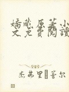 娇藏原著小说全文免费阅读